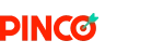 Logo www.pinco.academy