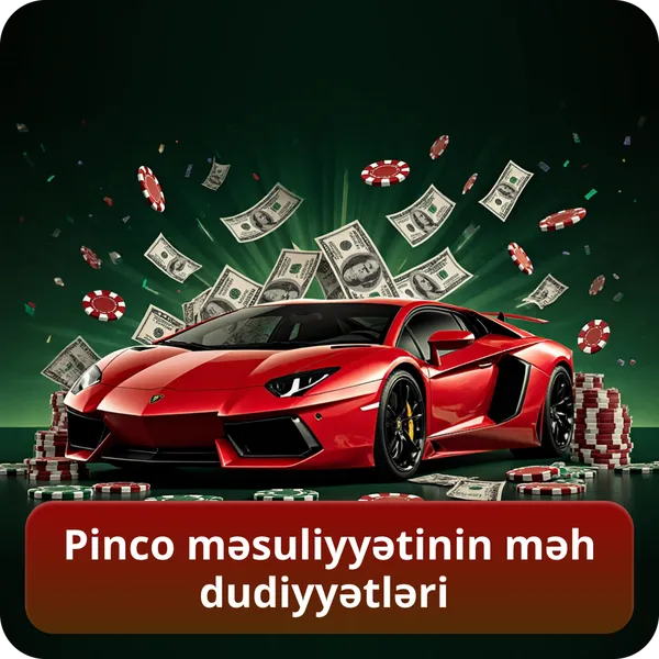 Pinco məsuliyyətinin məhdudiyyətləri